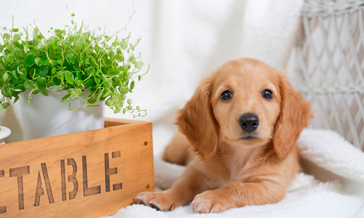 コンセプトイメージ