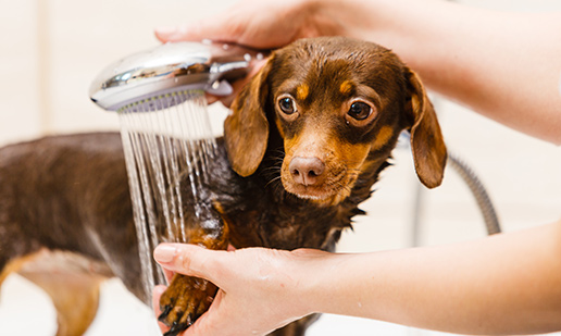 コンセプトイメージ