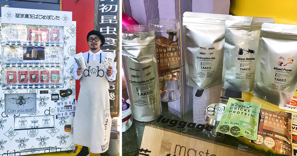 バルーンショップ「Discover Balloon」(熊本県熊本市)