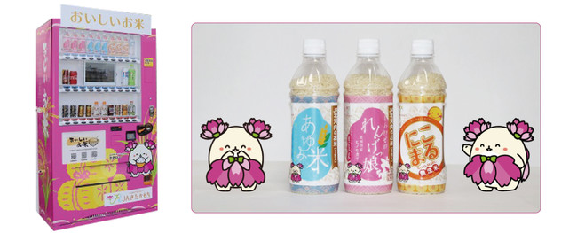 bord station(ボードステーション): https://www.bordstation.jp/